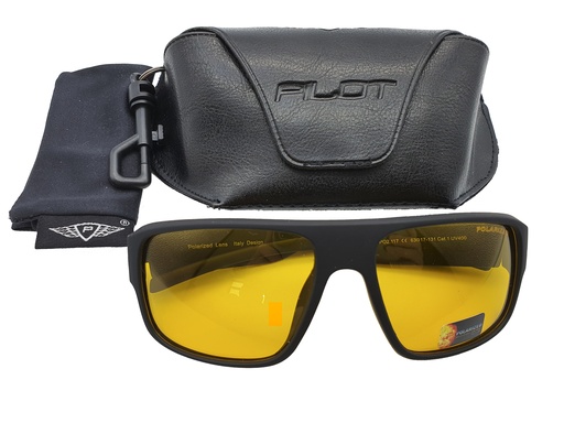 [SGLPO2.117] Driving Glasses